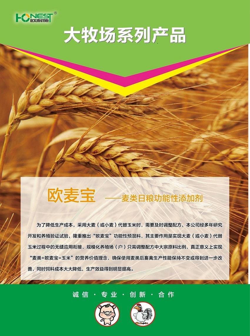 欧麦宝--麦类日粮功能性添加剂